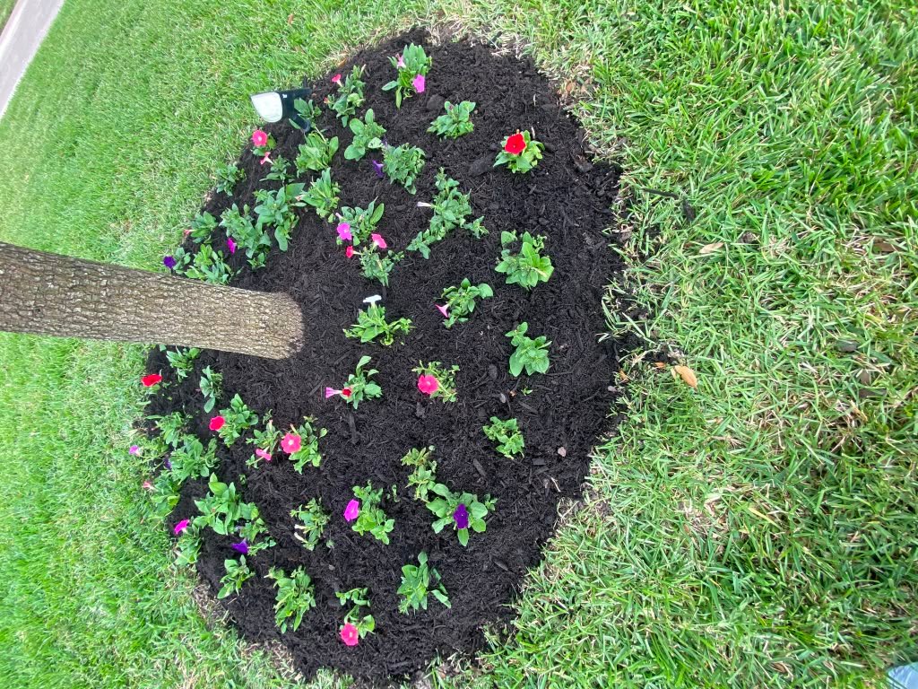 Residential garden planting completed in Houston